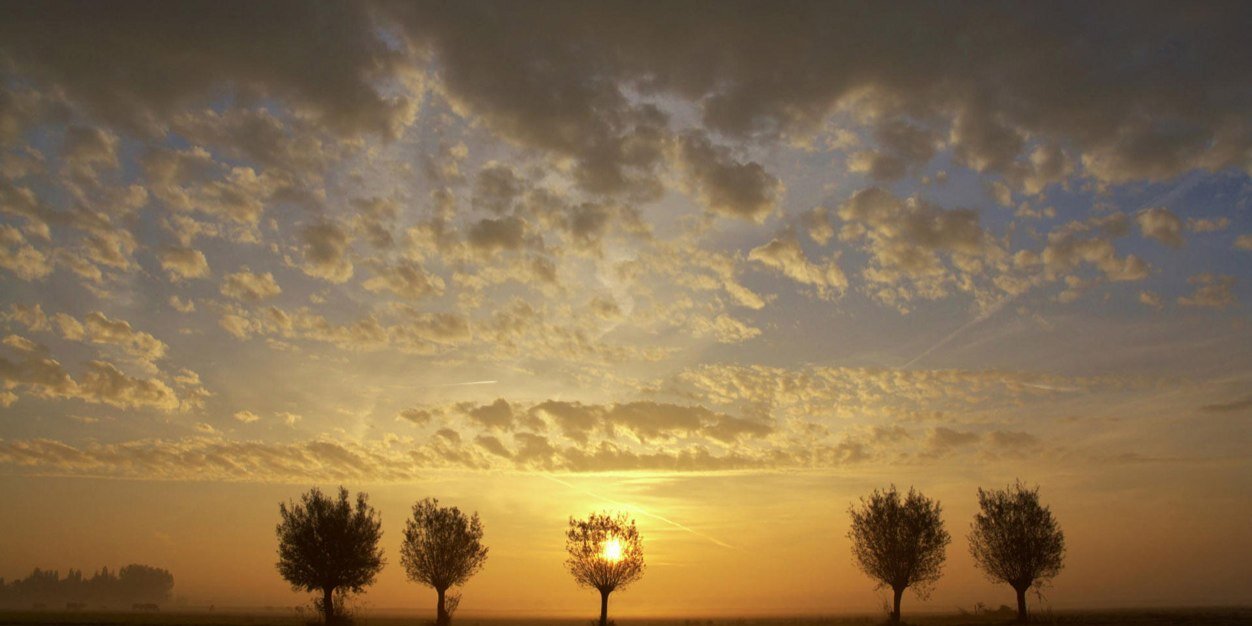 QuoteWork's profile banner image