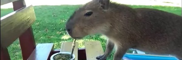 lucaspwbto Profile Banner