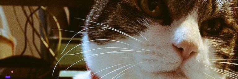 me0812's profile banner image