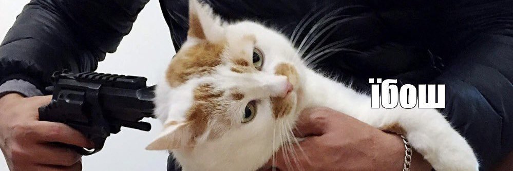 Бабай волохатий banner