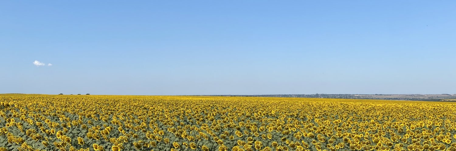 Elmer Halonen banner