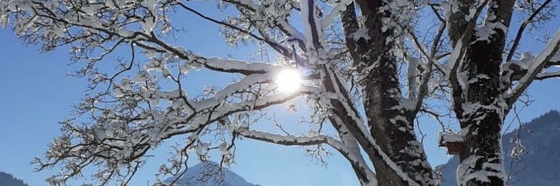 Birgit Eckhardt banner