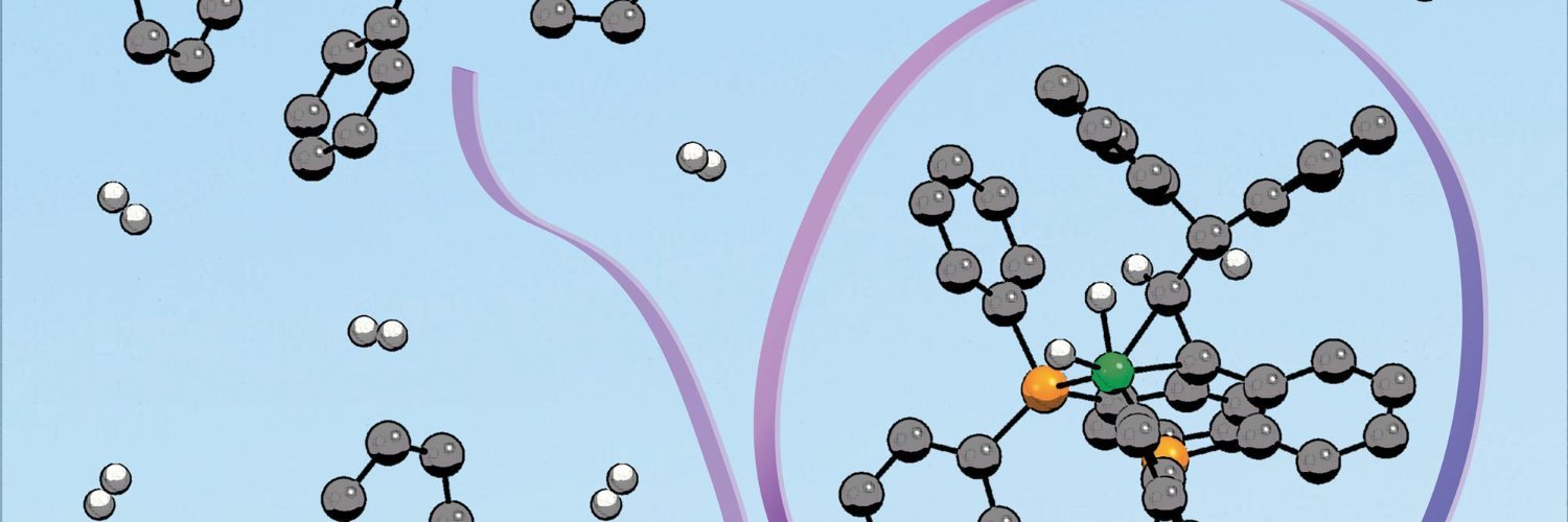 María L. G. Sansores Paredes banner