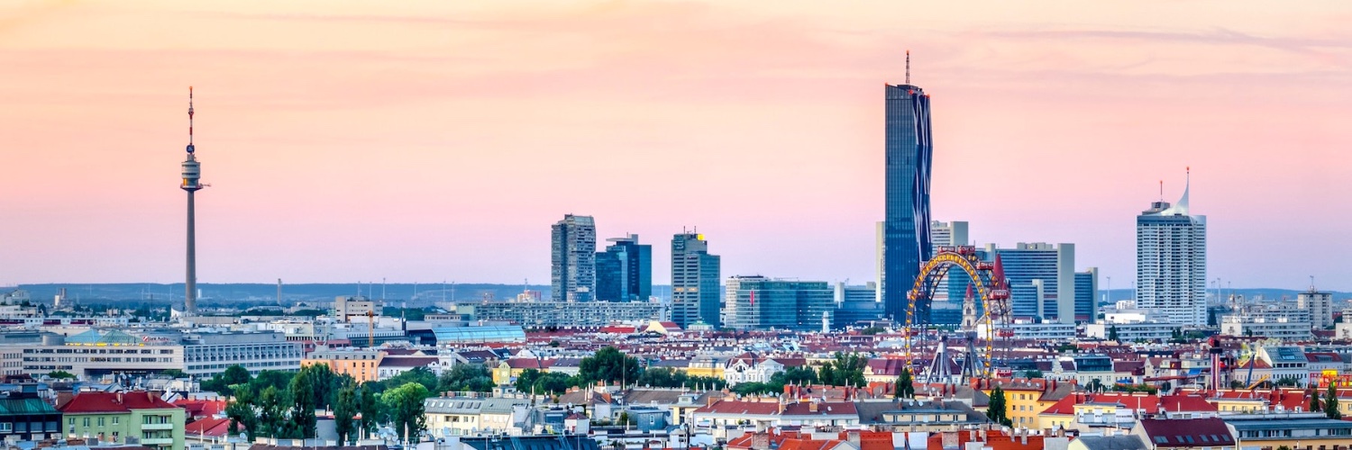 viennative's profile banner image