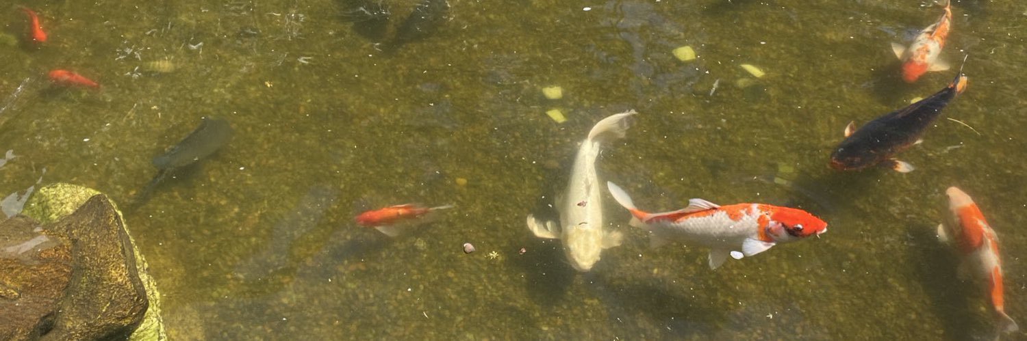 namorada do gabriel banner