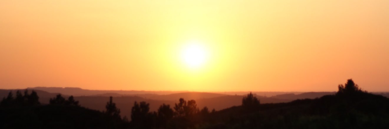 themadpackpt's profile banner image