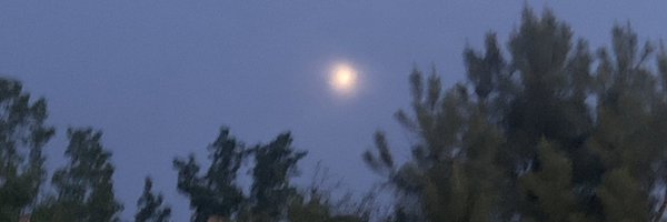 AmandaK71320565 Profile Banner