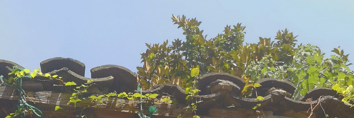 Sandalman banner
