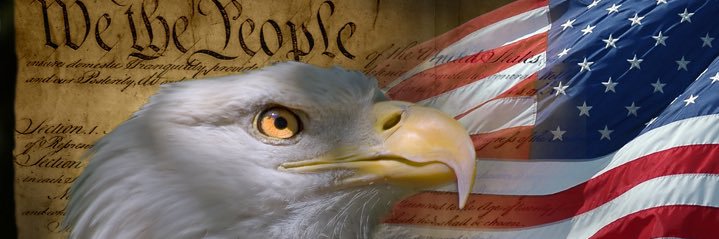 True Patriot Voice's banner