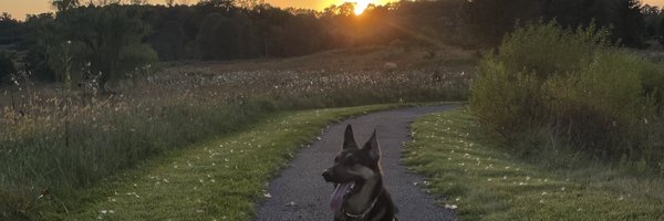 crowzonee Profile Banner