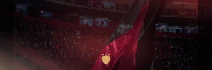 Rei Leão do Leste 🦁🐾🇧🇷⭐⭐⭐ 🚩 banner