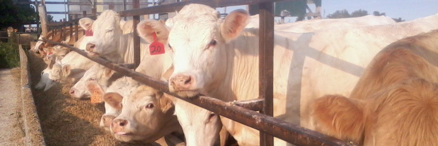 Perth County Beef Farmers banner