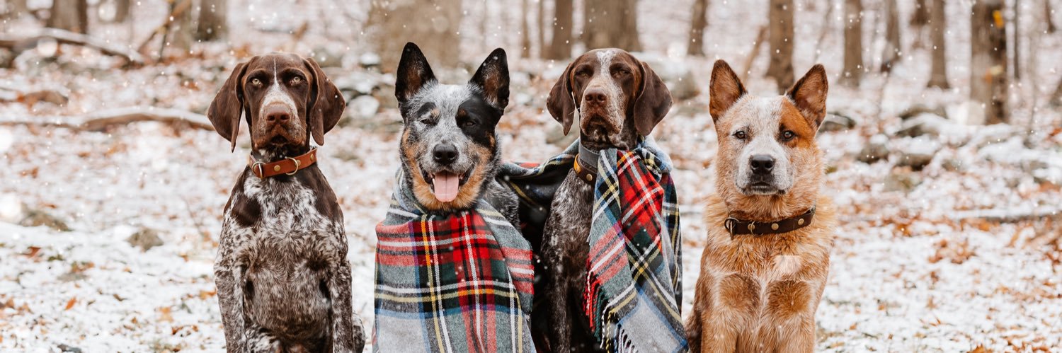 thenortheastpack banner