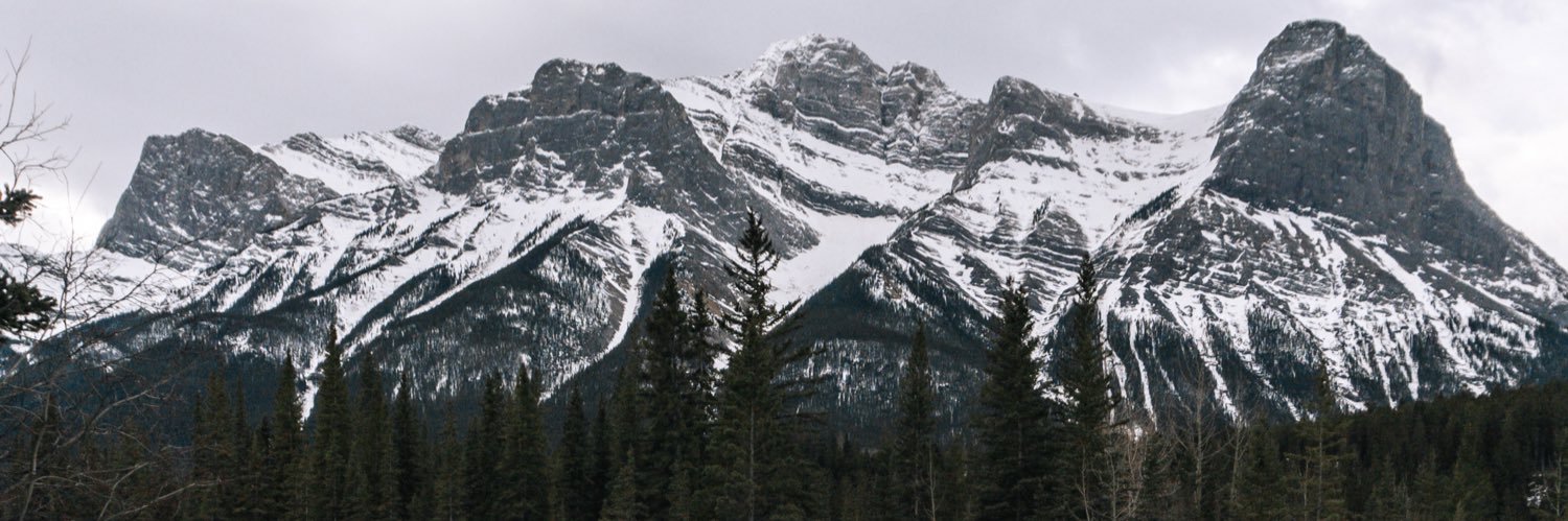 Radley, Kyzer & Shae banner