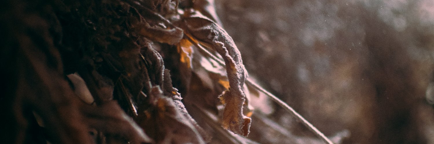 Spadvemmy's profile banner image