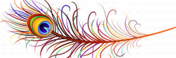 Bhavin009's profile banner image