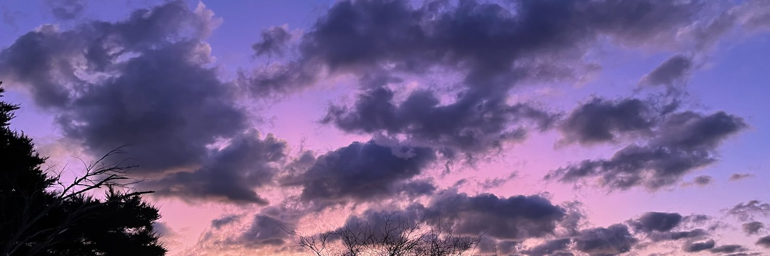 bruceboii's profile banner image