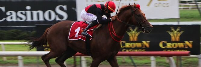 Wigberto Ramos banner