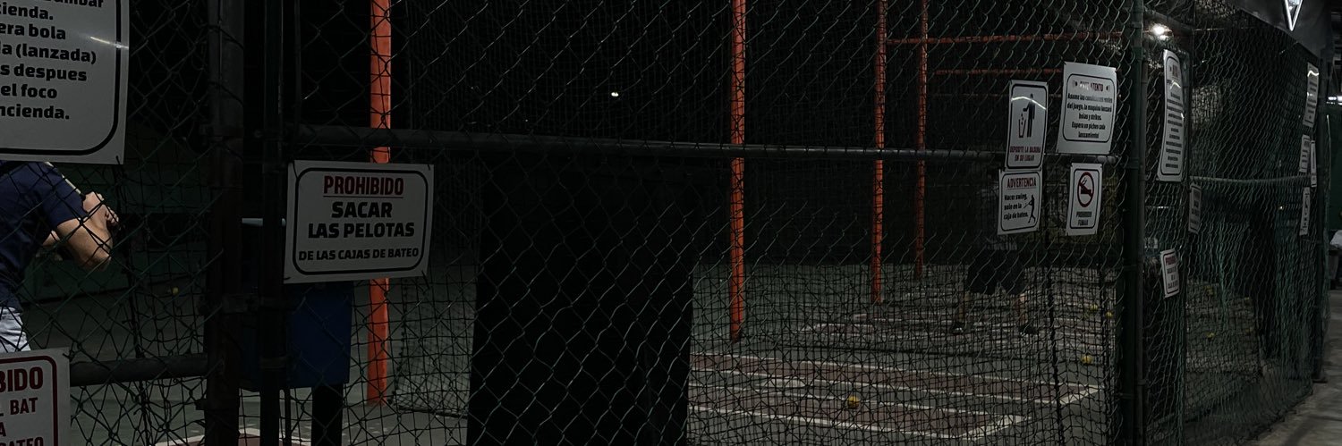 NoemMtz's profile banner image