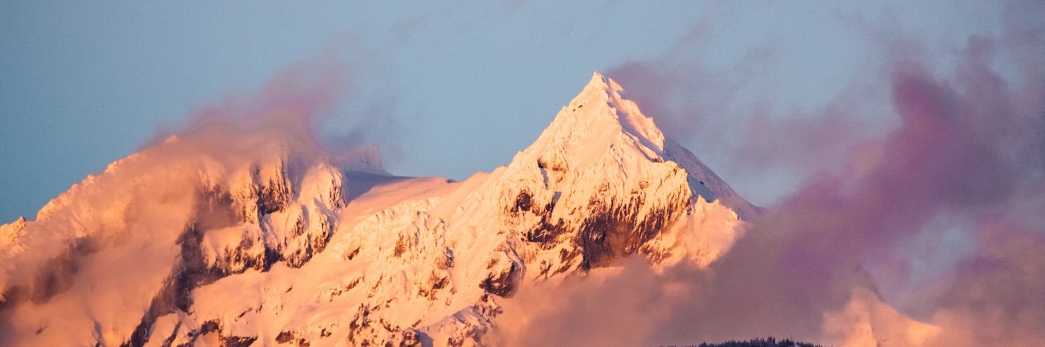 Sully, Quest & Arla banner