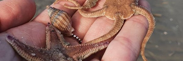 nadiavaneekelen Profile Banner