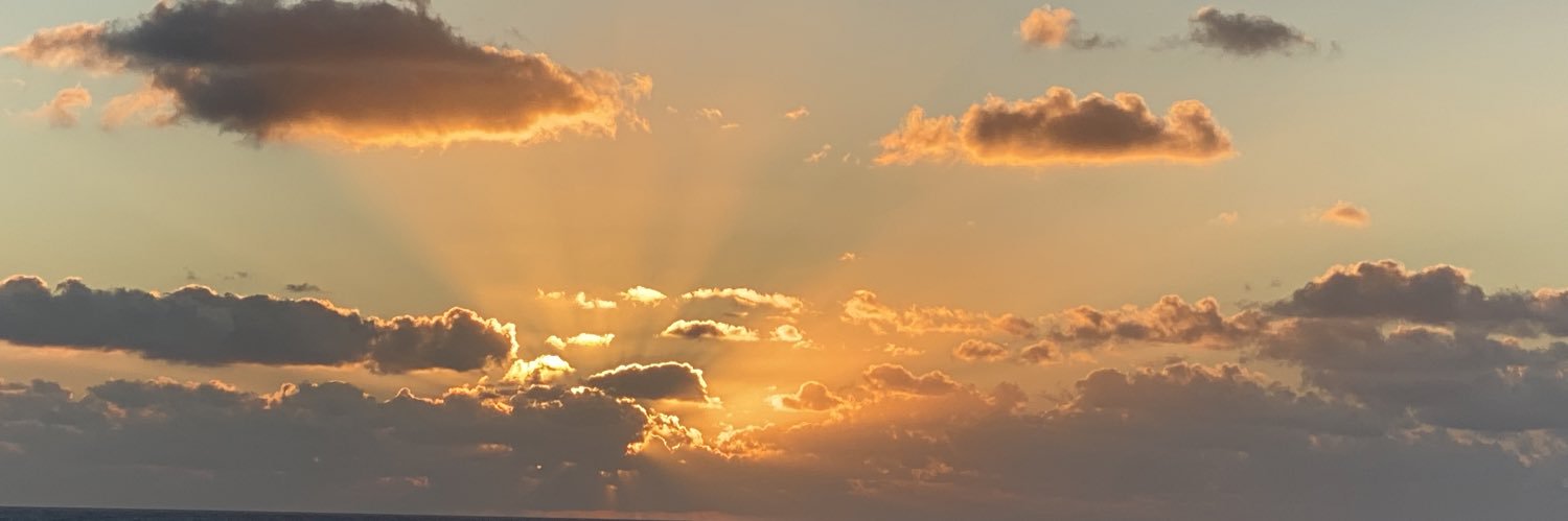 L_ost4_ever's profile banner image