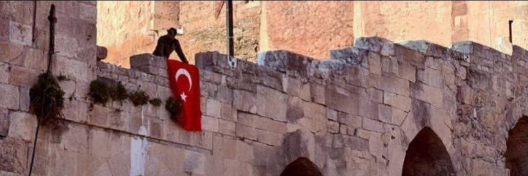 Rylegon🔻🕊 banner