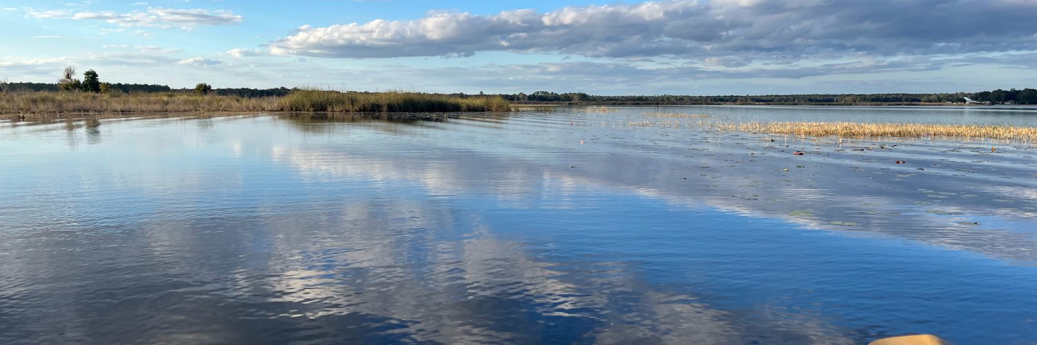 Florida Man V banner