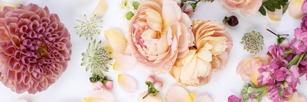 JuniperDesigns Profile Banner