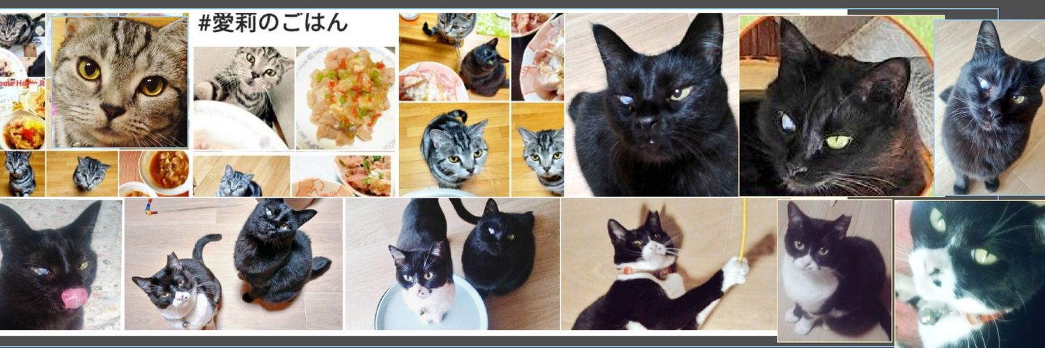 @み～にゃ 🐈愛莉のごはん banner