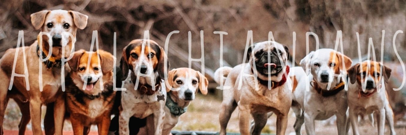 Appalachian Paws banner