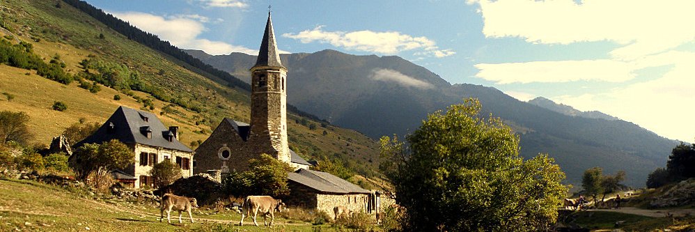 Isabel Capell Salarich banner
