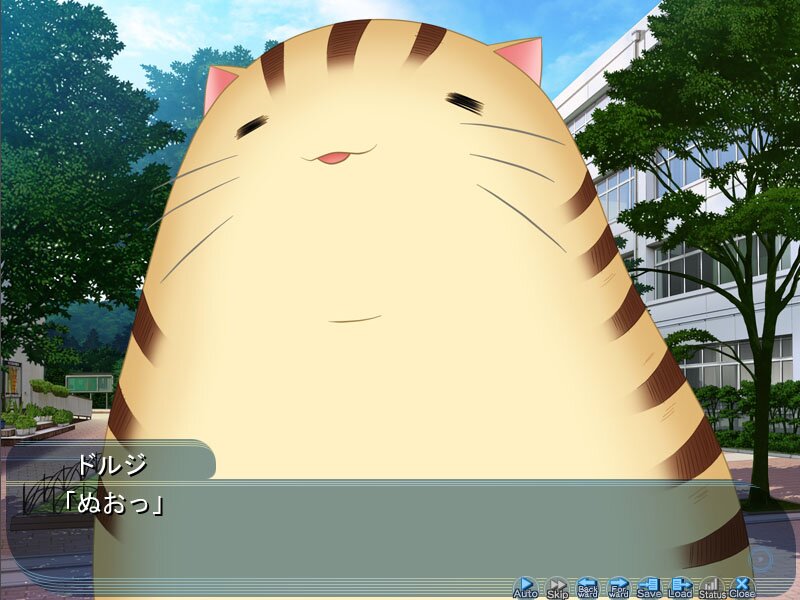 tomyo_o's profile banner image