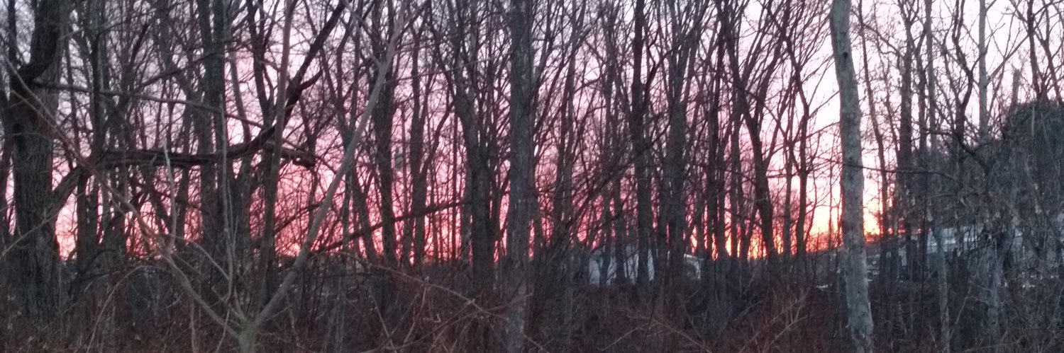 Kimble🇺🇸 banner