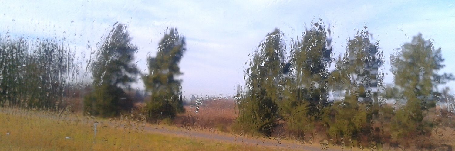 anshe_arg's profile banner image