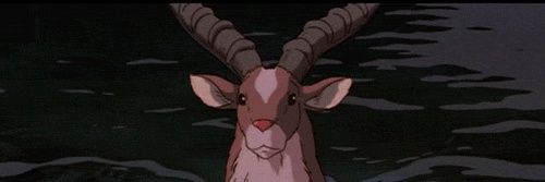 sofiamatoma's profile banner image