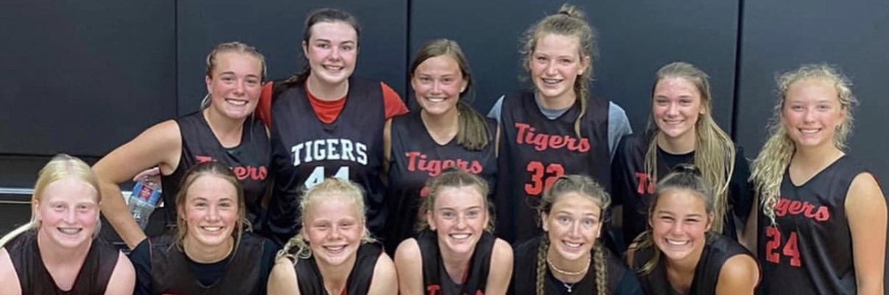Alli Sheldahl banner
