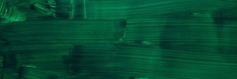 em 🦚 banner