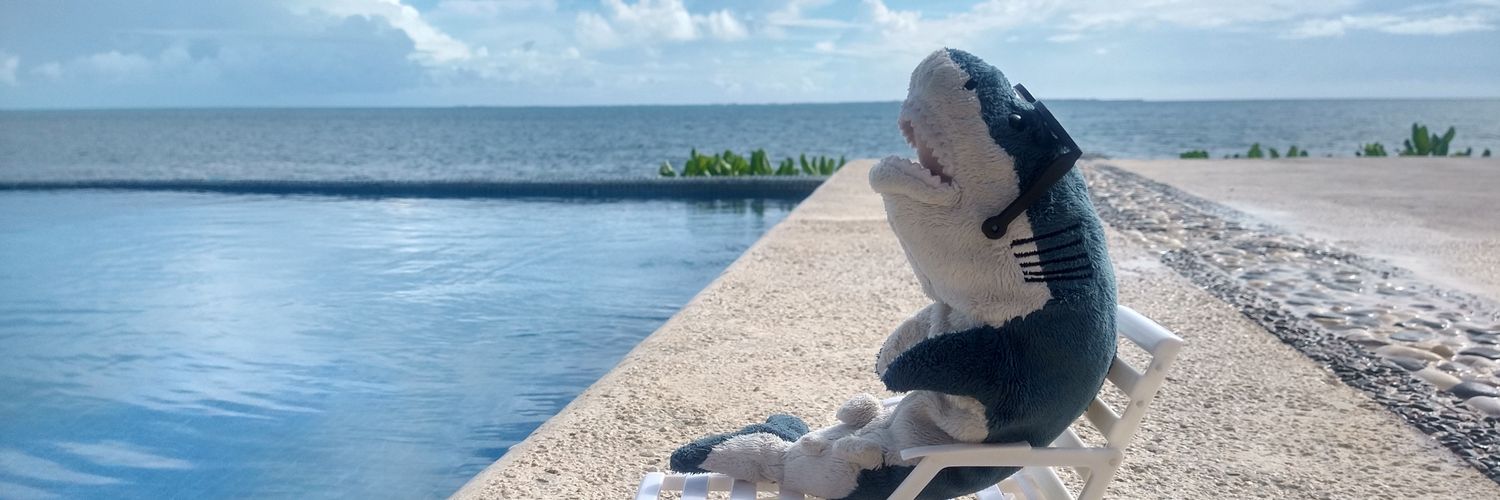 TiburonCamilo's profile banner image