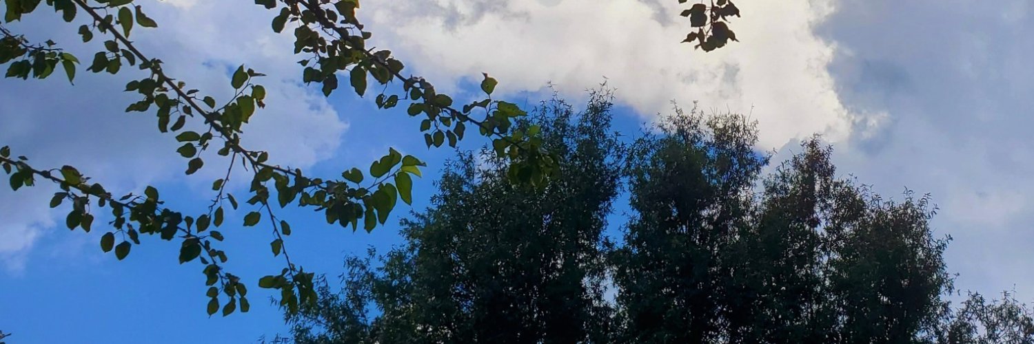 XeroGravity's profile banner image