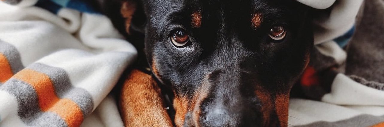 Ruby & Katana banner