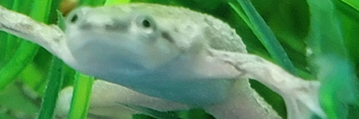 FrontRangeFella (Bonkologist Emeritus) banner