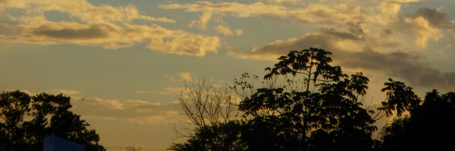 chrisrey_14's profile banner image