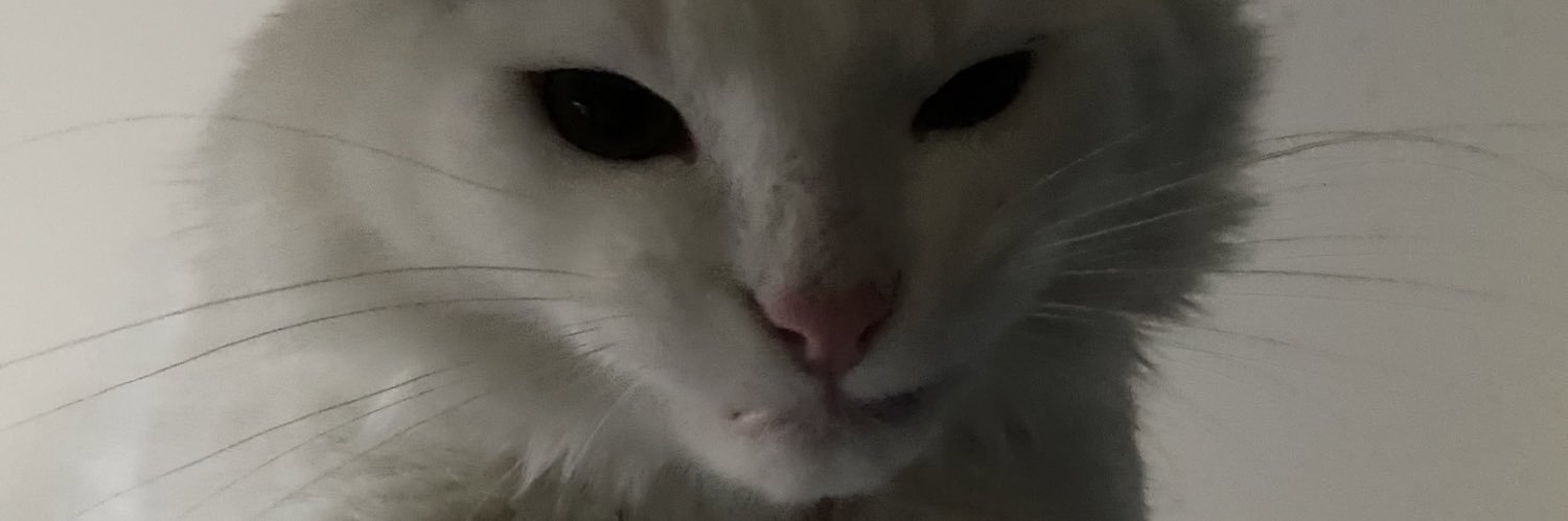JustPeachy banner