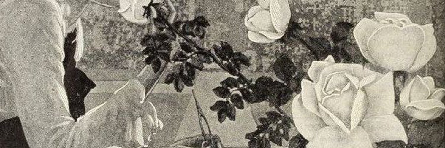 beaprily's profile banner image