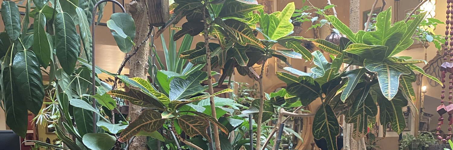 T.L.$mith, MPA banner