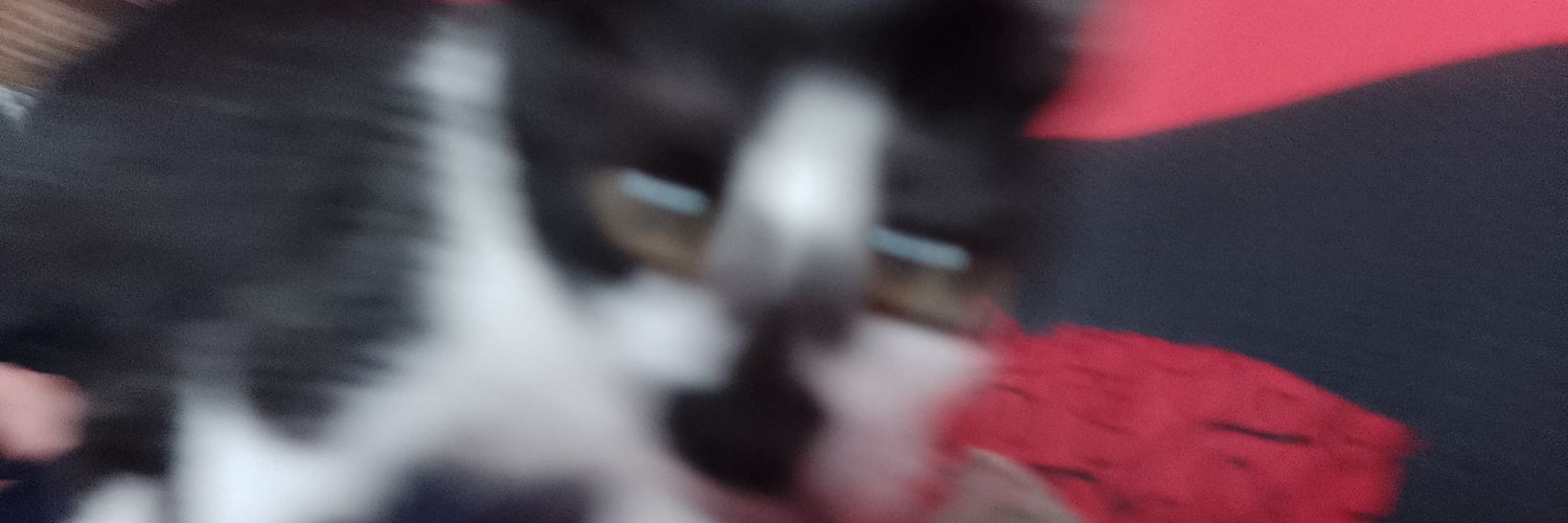 Rodriloed4's profile banner image