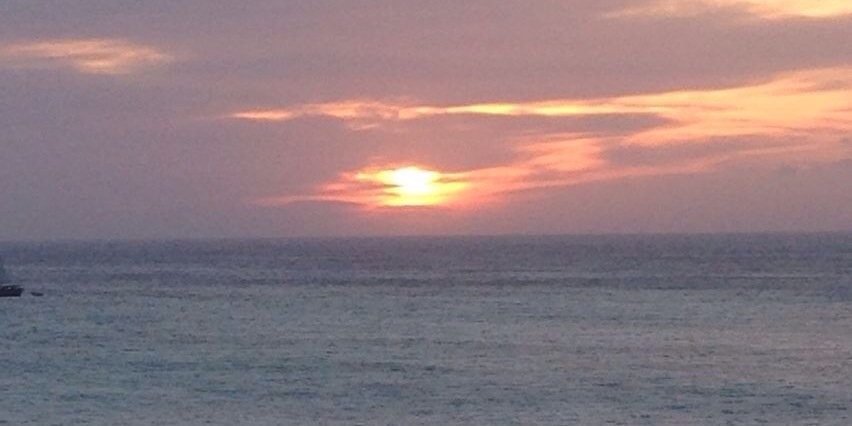 kimlank22's profile banner image
