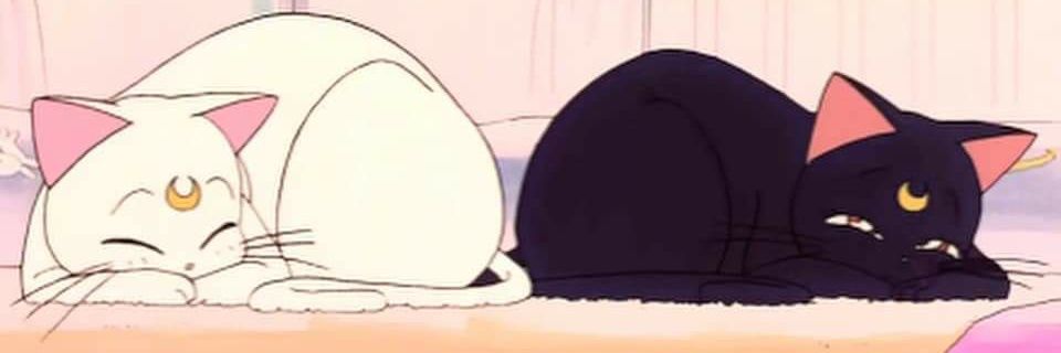 Rocket_numbr9's profile banner image