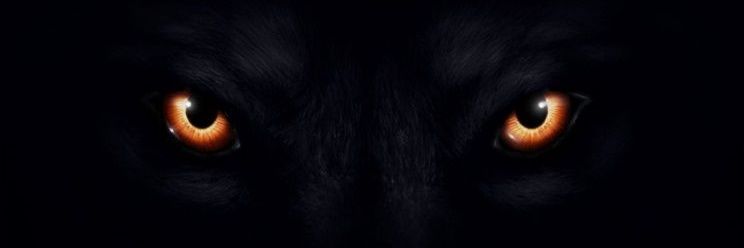 almarduk's profile banner image